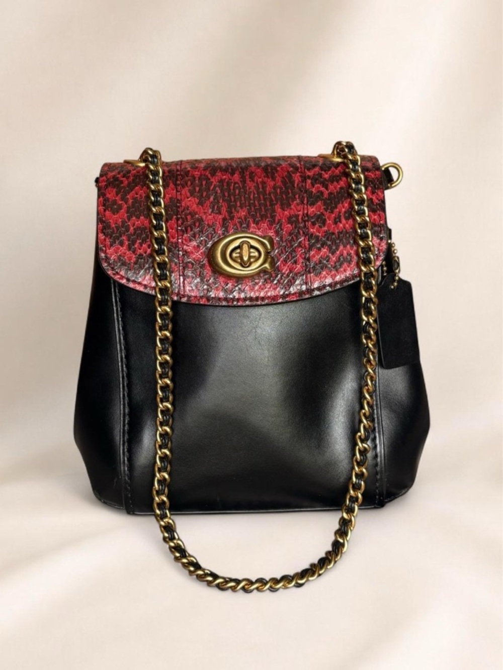 Coach Convertible Bag 16